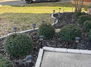Weeding by Victor/ Madeline Ramirez for Greg F. in Fort Worth, TX
