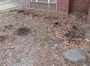 Landscaping by Donovan Perry for Jennifer S. in Houston, TX