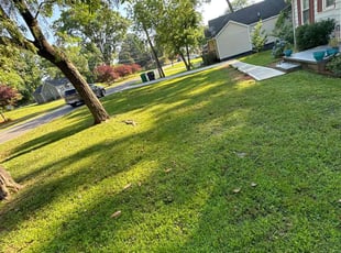 Brittney N.'s Lawn Care service result