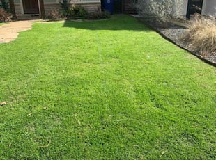 Brianna W.'s Lawn Service service result