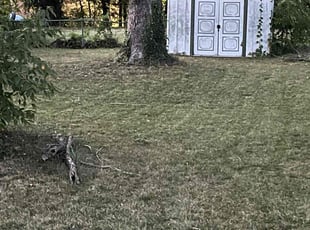 Teresa E.'s Lawn Care service result