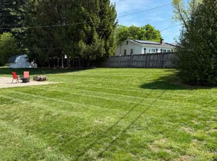 Michael B.'s Lawn Care service result