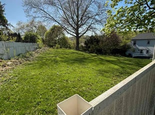 Thaddeus N.'s Yard Cutting service result
