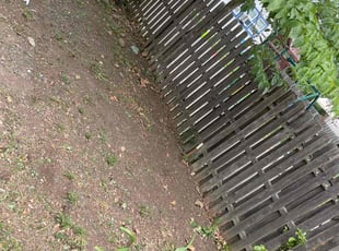 Leaf Removal by Terence Mells for John M. in Middlesex, NJ