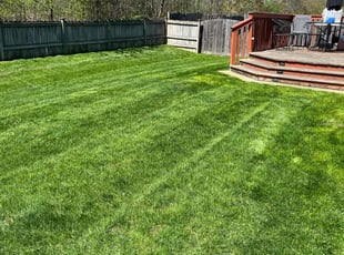Janel R.'s Lawn Mowing service result