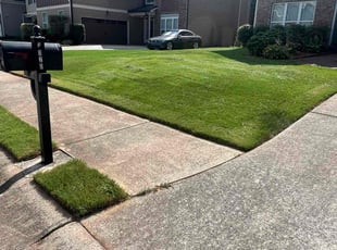 Sravan U.'s Lawn Service service result