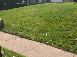 Mike K.'s Lawn Care service result