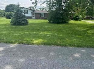 Bendu J.'s Grass Cutting service result