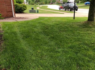 Brandon W.'s Lawn Care service result