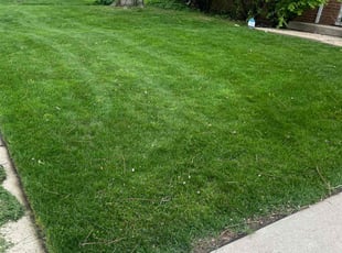 Scott M.'s Lawn Maintenance service result