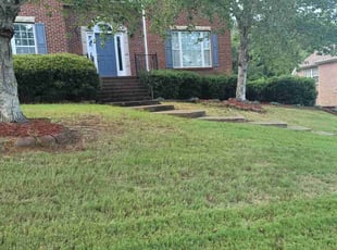 Cynthia P.'s Lawn Mowing service result