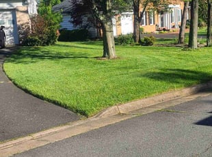 Denise M.'s Grass Cutting service result