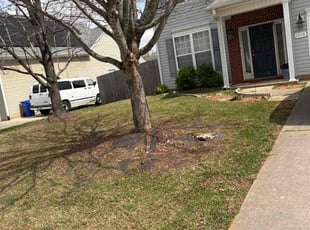 Kaitlin B.'s Lawn Service service result