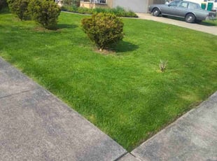 Brad S.'s Lawn Service service result