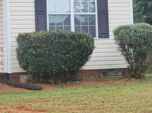 Bush Trimming by Daniel Aldridge for Gary B. in Kannapolis, NC
