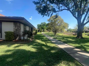 Steve A.'s Grass Cutting service result