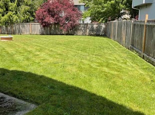 Justy V.'s Grass Cutting service result