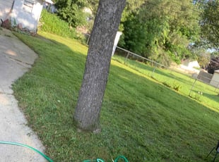 Cleanups by Kyle Yacko for Monica C. in Roseville, MI