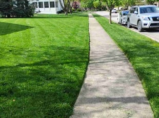 Mary T.'s Lawn Mowing service result