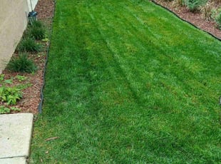 Alex K.'s Lawn Service service result