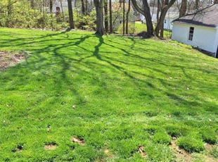 Sarah R.'s Grass Cutting service result