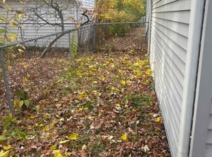 Weeding by Kyle Yacko for Leena K. in Ferndale, MI