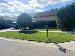 Bush Trimming by Vladimir Tessono for Sadiyah B. in Boca Raton, FL