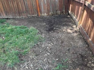 Ralph Y.'s Cleanups service result