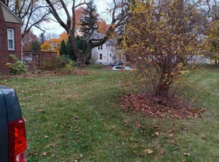 Leaf Removal by Jim Swigert for Kenneth A. in Canton, OH