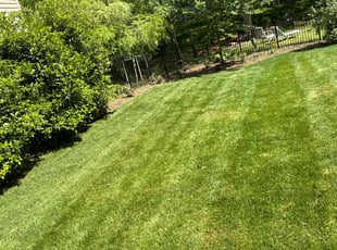 Tonya R.'s Lawn Maintenance service result