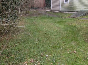 Leaf Removal by David Puerner for Annette D. in Scranton, PA