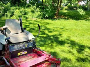 Paul D.'s Lawn Service service result