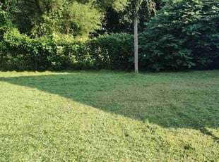 Casey D.'s Lawn Care service result