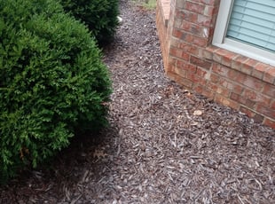 Weeding by James Summers for Anthony F. in Huntsville, AL