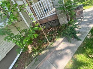 Cleanups by Caree Keith for Soiliou N. in Washington, DC