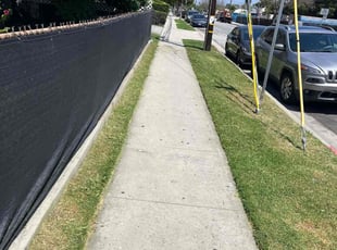 Gladys B.'s Lawn Care service result