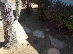 Leaf Removal by Mike Kipp for Hanson O. in Colorado Springs, CO