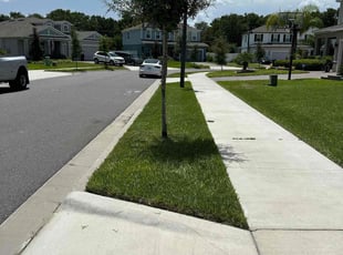Alba P.'s Lawn Maintenance service result