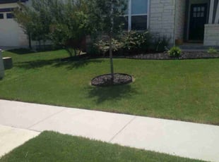 Christina P.'s Lawn Maintenance service result