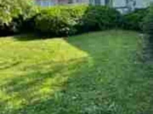 Summer J.'s Lawn Service service result