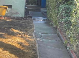Bush Trimming by William Mendoza for Carol M. in Los Angeles, CA