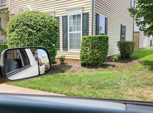 Bush Trimming by Mark Burke for Larry B. in Bristow, VA