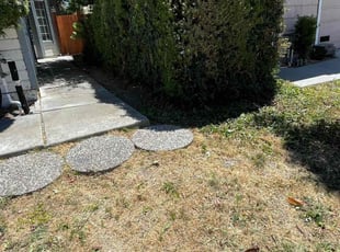 Bush Trimming by Luis Enrique Rafael Chavez for lee C. in San Jose, CA