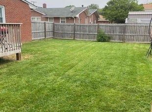 Tina A.'s Yard Cutting service result