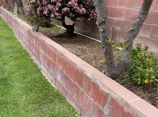 Weeding by William Mendoza for Delores S. in Hawthorne, CA