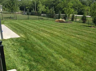 Eric H.'s Lawn Mowing service result