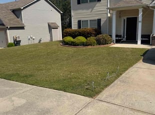 Michael P.'s Yard Cutting service result