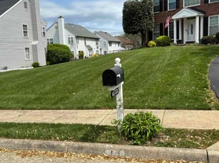 Tanith M.'s Lawn Service service result