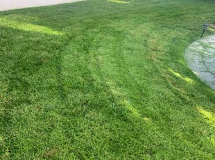 Corrie H.'s Lawn Care service result