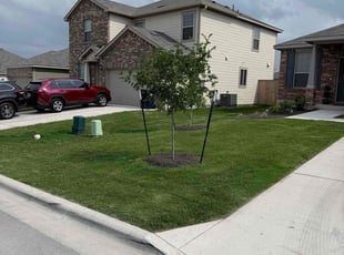 Kelly E.'s Lawn Care service result